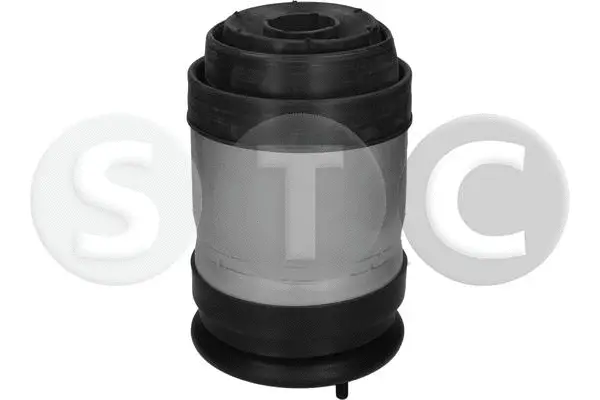 Air Spring, suspension (T442934)