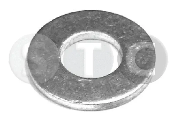 Seal Ring, injector (T448655)