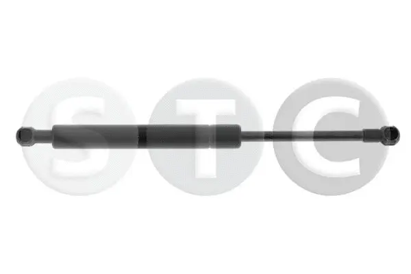 Gas Spring, boot/cargo area (T446848)