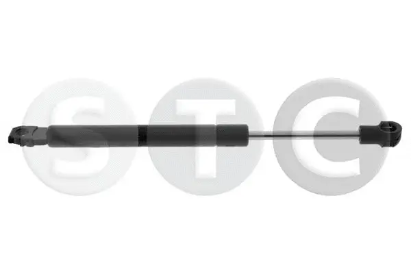 Gas Spring, boot/cargo area (T446571)