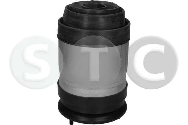 Air Spring, suspension