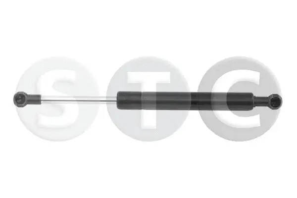 Gas Spring, bonnet (T446250)