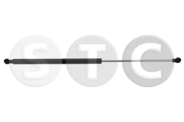 Gas Spring, bonnet (T446742)