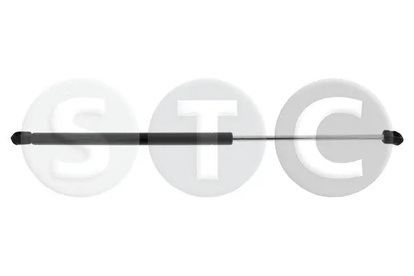 Gas Spring, boot/cargo area (T446154)