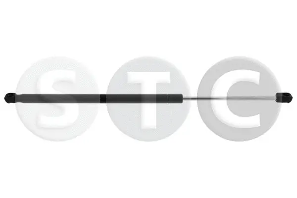 Gas Spring, boot/cargo area (T446706)
