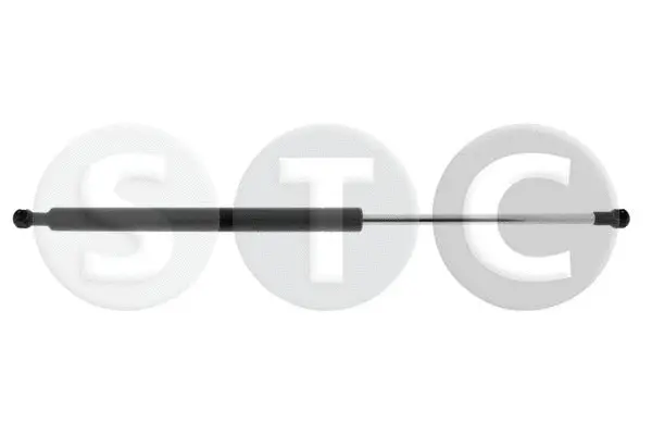 Gas Spring, boot/cargo area (T446153)