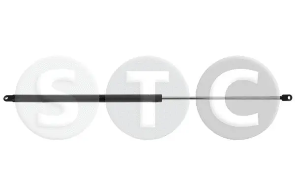 Gas Spring, bonnet (T446468)