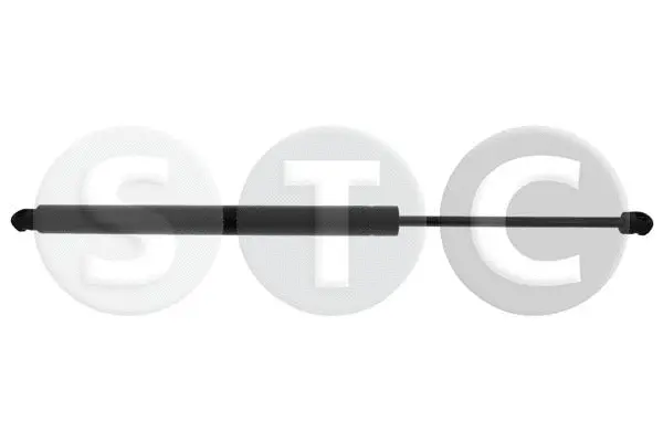Gas Spring, boot/cargo area (T446433)
