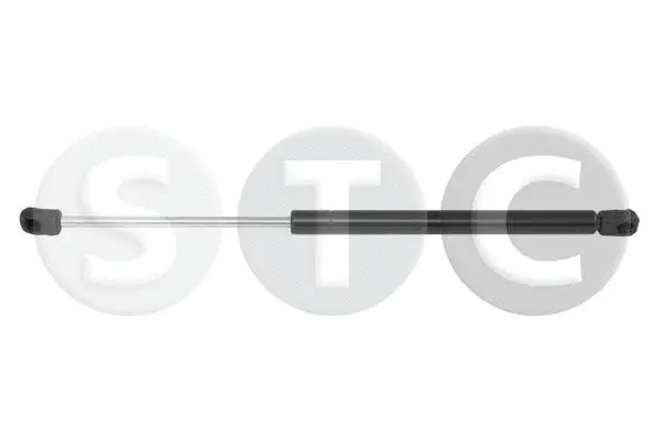 Gas Spring, boot/cargo area (T446243)