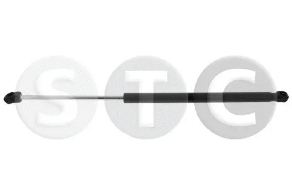 Gas Spring, boot/cargo area (T446231)