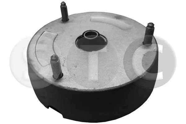 Suspension Strut Support Mount (T441565)