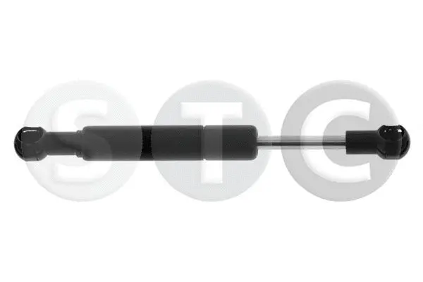 Gas Spring, boot/cargo area (T446697)