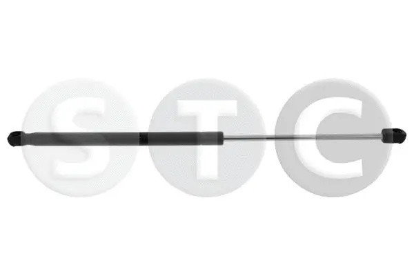 Gas Spring, boot/cargo area (T446245)