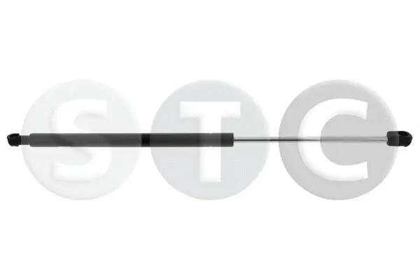 Gas Spring, boot/cargo area (T446193)