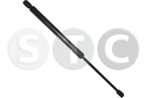 Gas Spring, boot/cargo area (T440802)