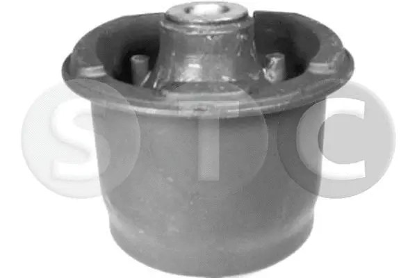 Bushing, axle beam (T456496)