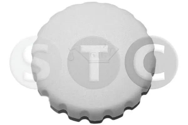 Sealing Cap, oil filler neck (T403682)