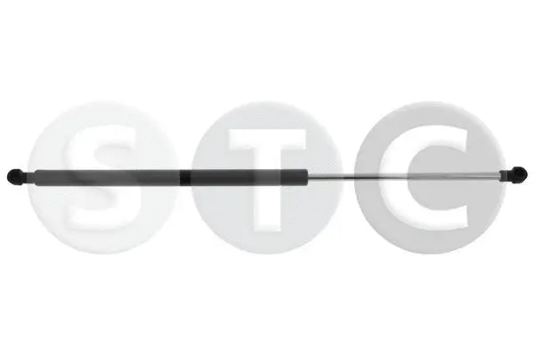 Gas Spring, boot/cargo area (T446510)