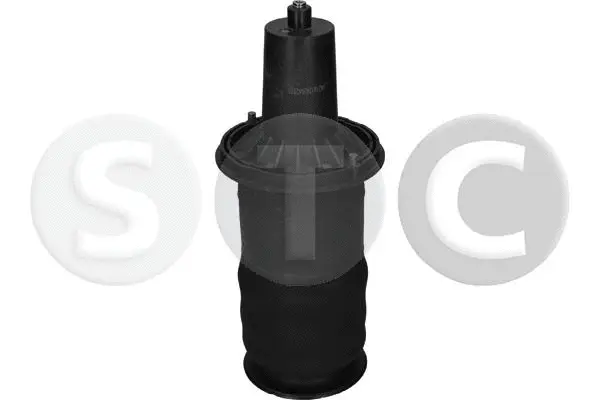 Air Spring, suspension