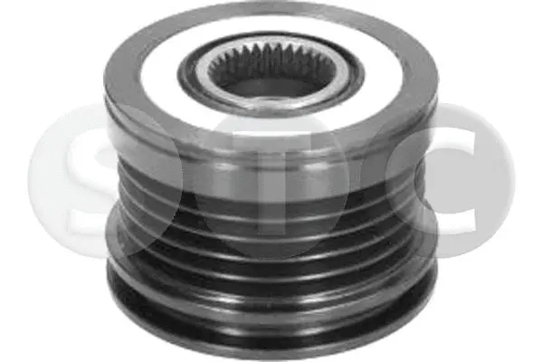 Alternator Freewheel Clutch (T406012)