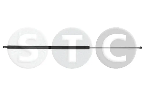 Gas Spring, boot/cargo area (T446203)