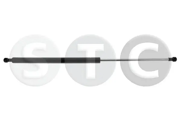 Gas Spring, boot/cargo area (T446577)