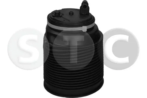 Air Spring, suspension (T442974)