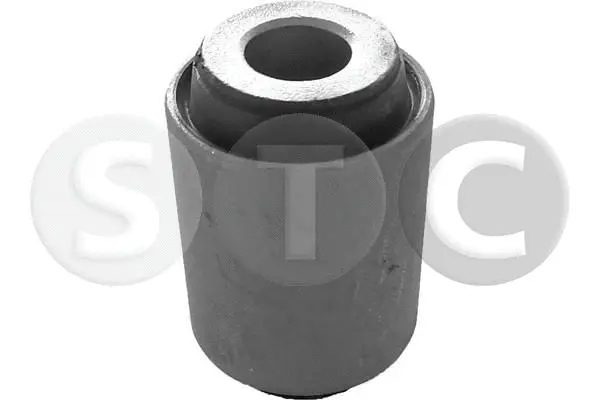Bushing, axle beam (T458110)