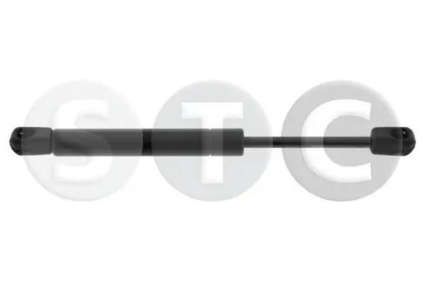 Gas Spring, bonnet (T446653)