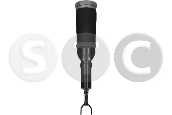Air Suspension Strut (T442905)