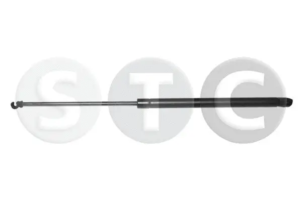 Gas Spring, boot/cargo area (T446863)