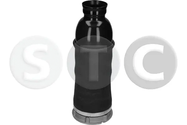 Air Spring, suspension (T442983)