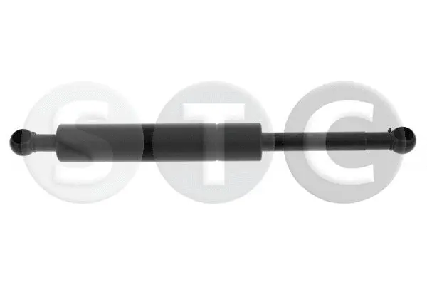 Gas Spring, boot/cargo area (T446192)