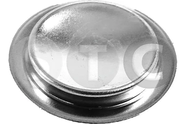 Frost Plug (T439443)