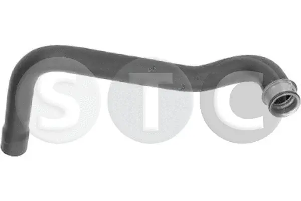 Radiator Hose (T494448)