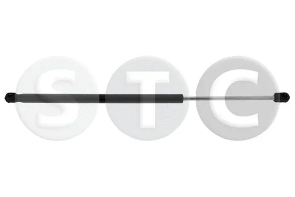 Gas Spring, boot/cargo area (T446688)