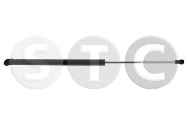 Gas Spring, bonnet (T446324)
