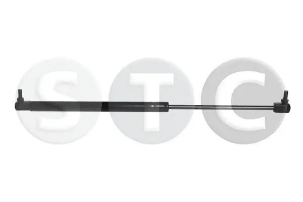 Gas Spring, boot/cargo area (T446398)