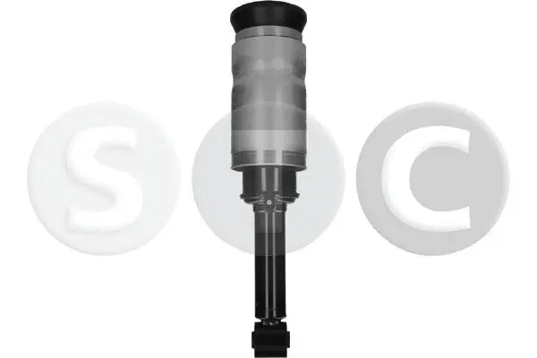 Air Suspension Strut