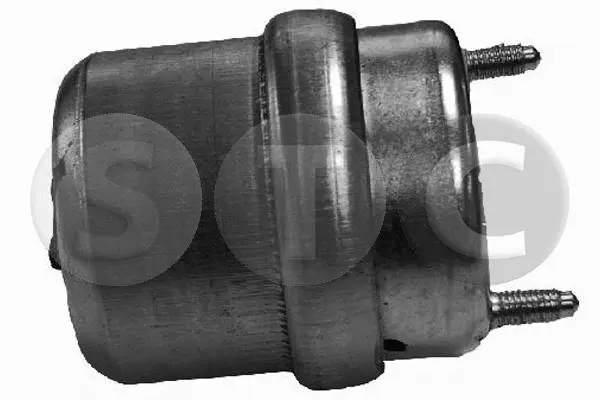 Mounting, engine (T404751)