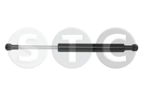 Gas Spring, boot/cargo area (T446869)