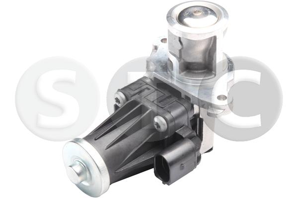 EGR Valve (T493106)