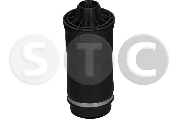 Air Spring, suspension