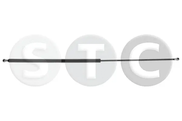 Gas Spring, boot/cargo area (T446907)