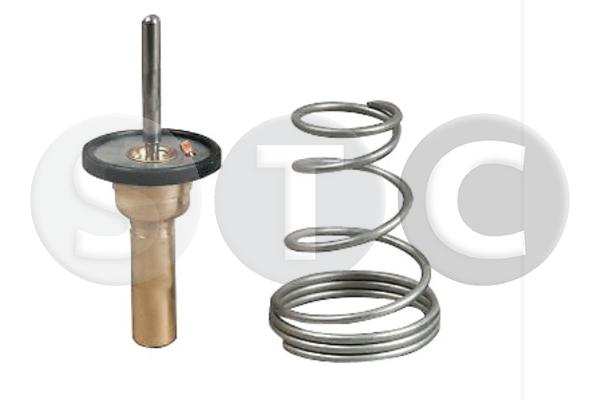 Thermostat, coolant (T431280)