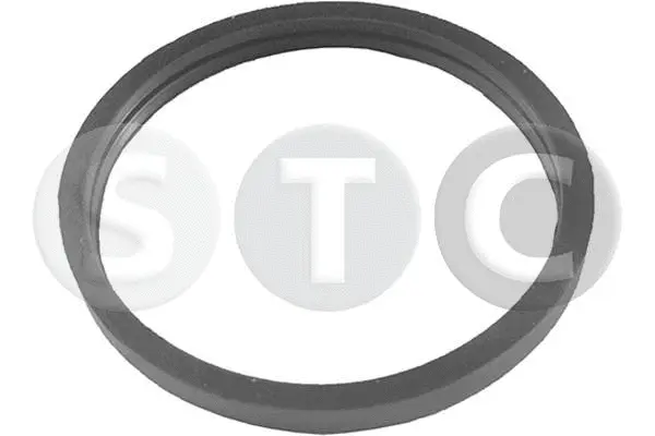 Seal, thermostat (T402356)
