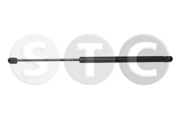 Gas Spring, boot/cargo area (T446211)