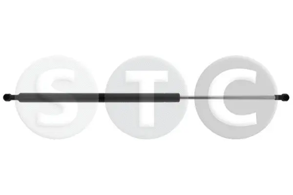 Gas Spring, boot/cargo area (T446660)