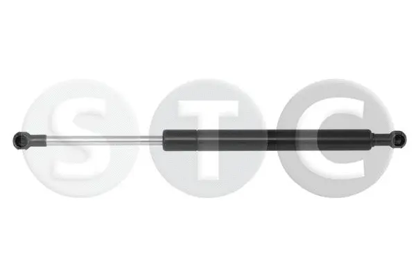 Gas Spring, rear window (T446474)