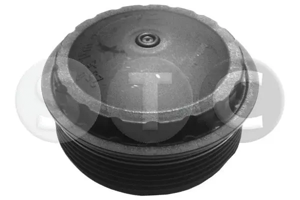 Cap, oil filter housing (T403840)